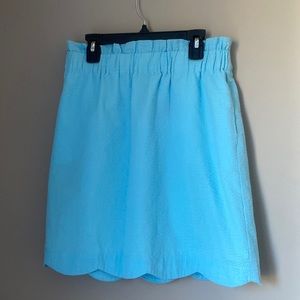 Lauren James Seersucker skirt